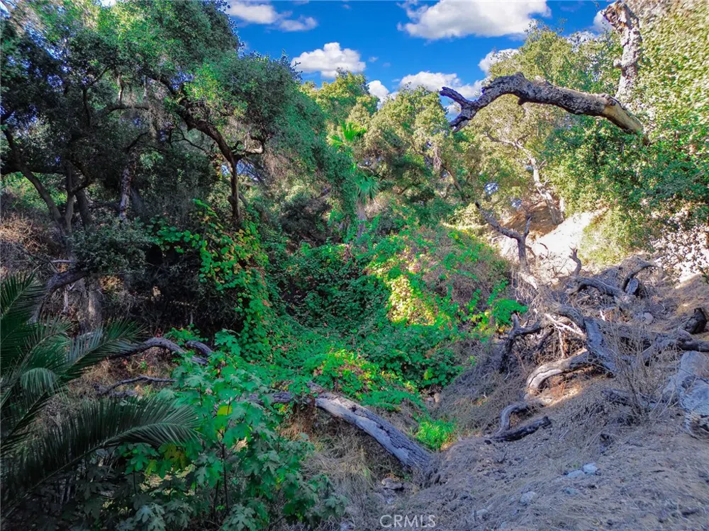 Live Oak Canyon Road La Verne, CA 91750