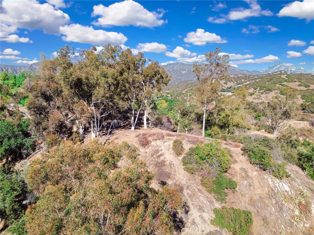 Live Oak Canyon Road La Verne, CA 91750