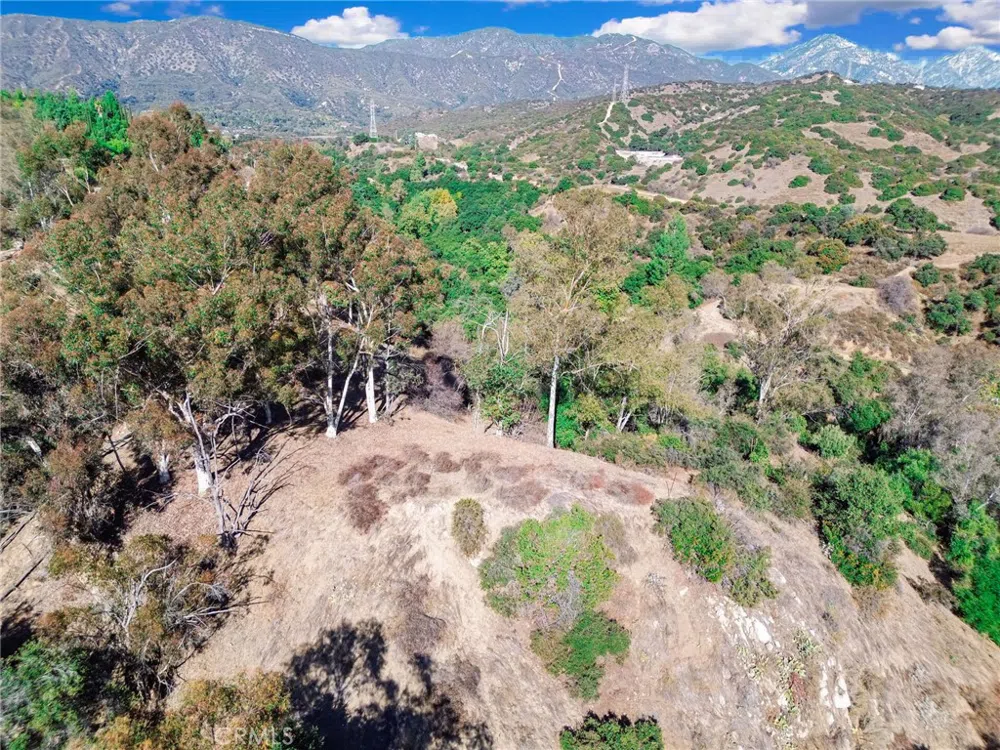 Live Oak Canyon Road La Verne, CA 91750