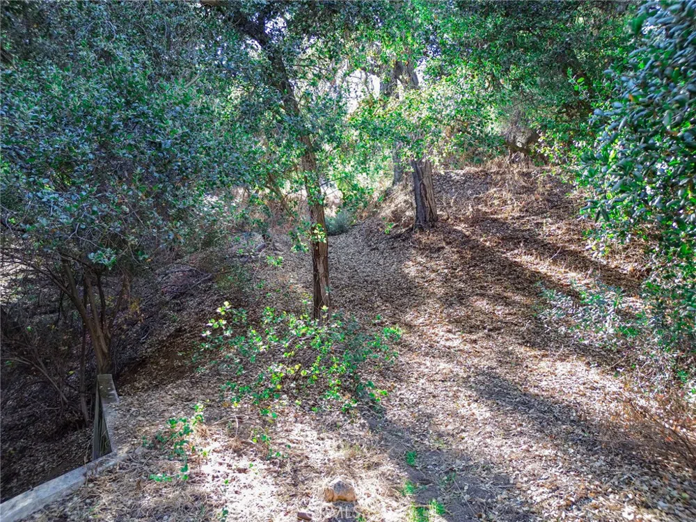 Live Oak Canyon Road La Verne, CA 91750