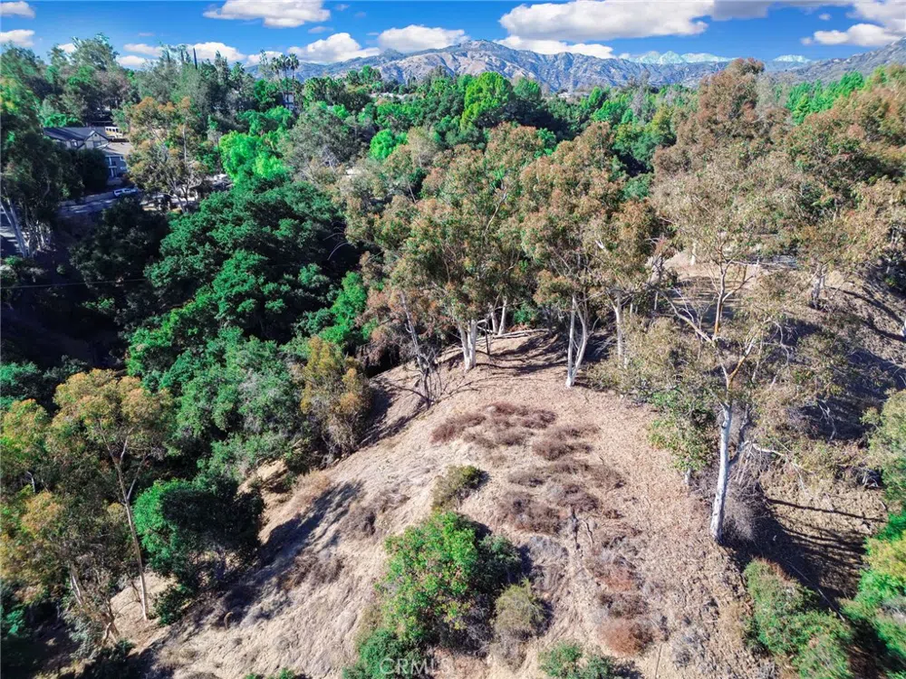Live Oak Canyon Road La Verne, CA 91750