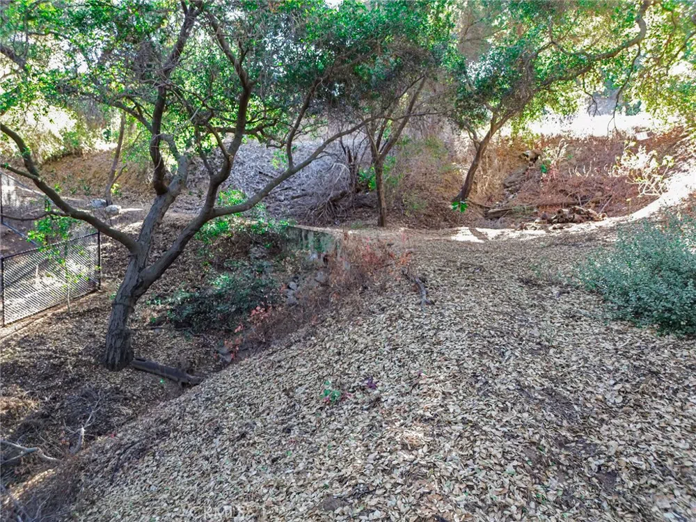Live Oak Canyon Road La Verne, CA 91750
