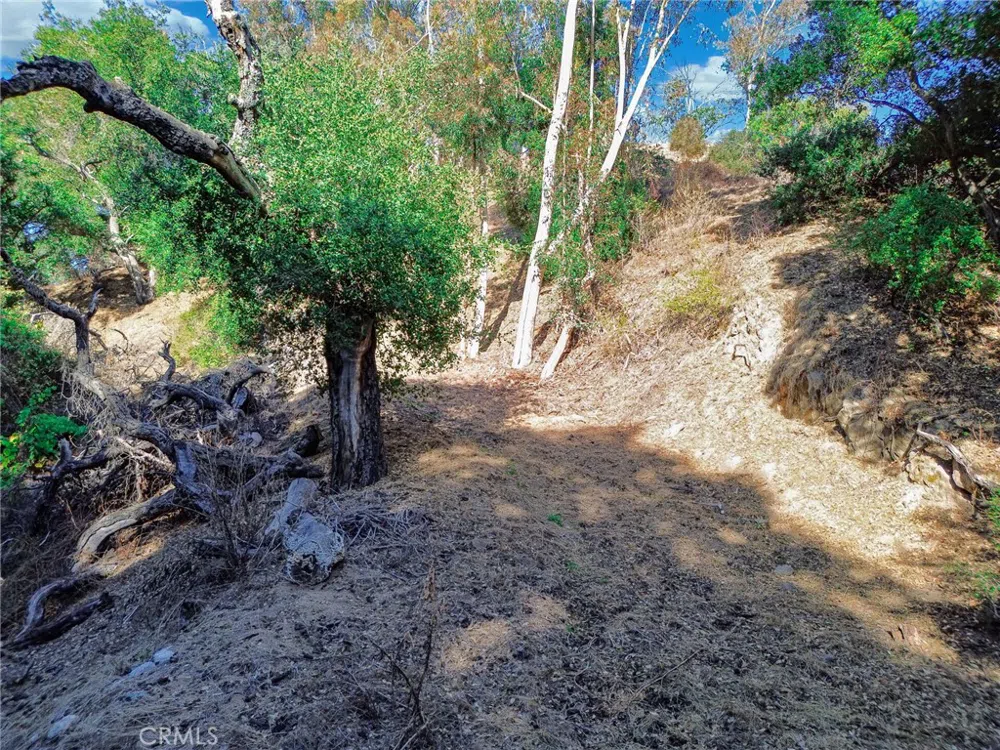 Live Oak Canyon Road La Verne, CA 91750