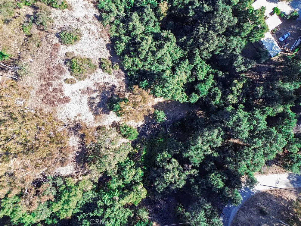 Live Oak Canyon Road La Verne, CA 91750