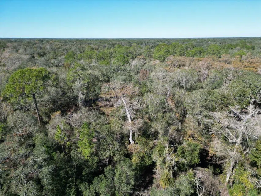 39716 TWORUT ROAD Webster, FL 33597
