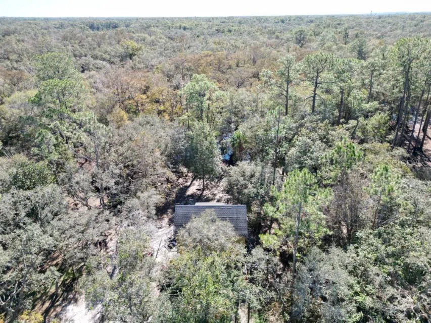 39716 TWORUT ROAD Webster, FL 33597