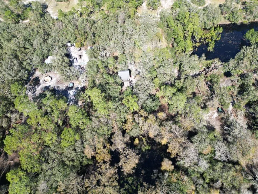 39716 TWORUT ROAD Webster, FL 33597