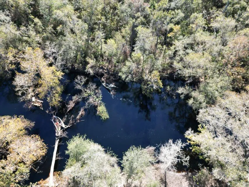39716 TWORUT ROAD Webster, FL 33597