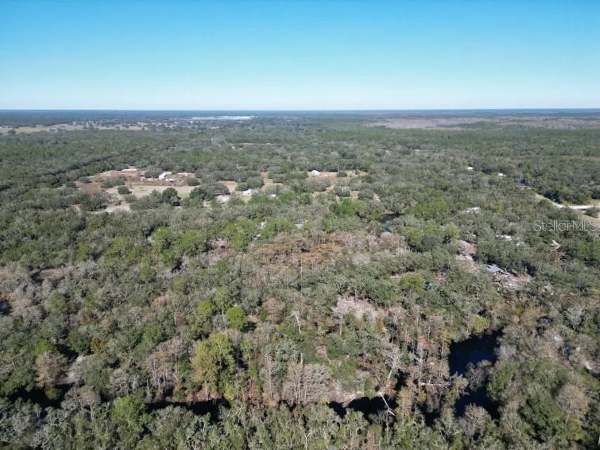 39716 TWORUT ROAD Webster, FL 33597