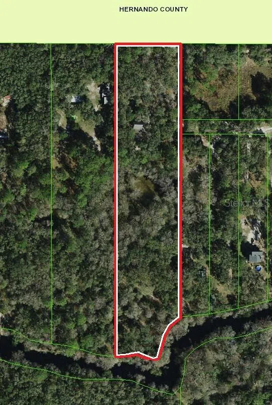 39716 TWORUT ROAD Webster, FL 33597