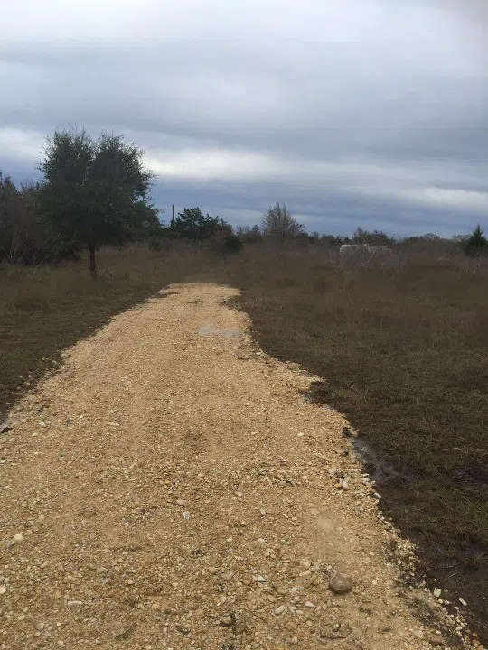 1931 Watterson Road Red Rock, TX 78662