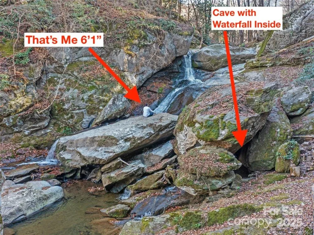 23 Katies Road #145.95 acres