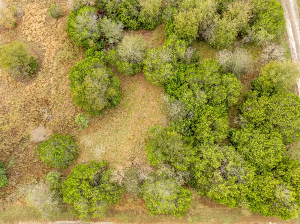40050 Elmwood Drive Whitney, TX 76692