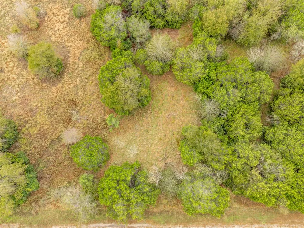 40050 Elmwood Drive Whitney, TX 76692
