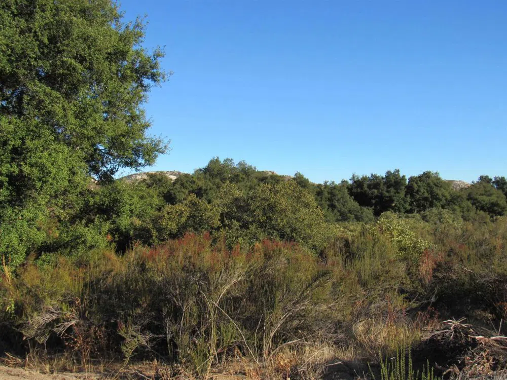 2115 Campo Truck Trail Campo, CA 91906