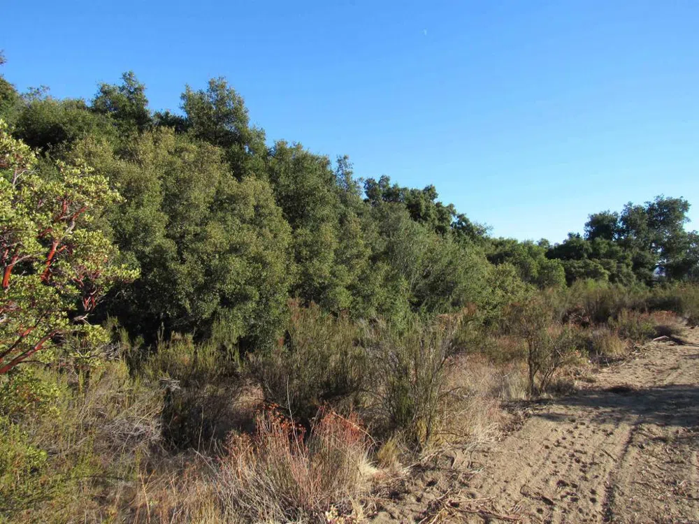 2115 Campo Truck Trail Campo, CA 91906