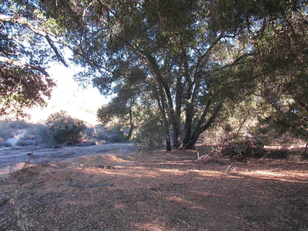 2115 Campo Truck Trail Campo, CA 91906