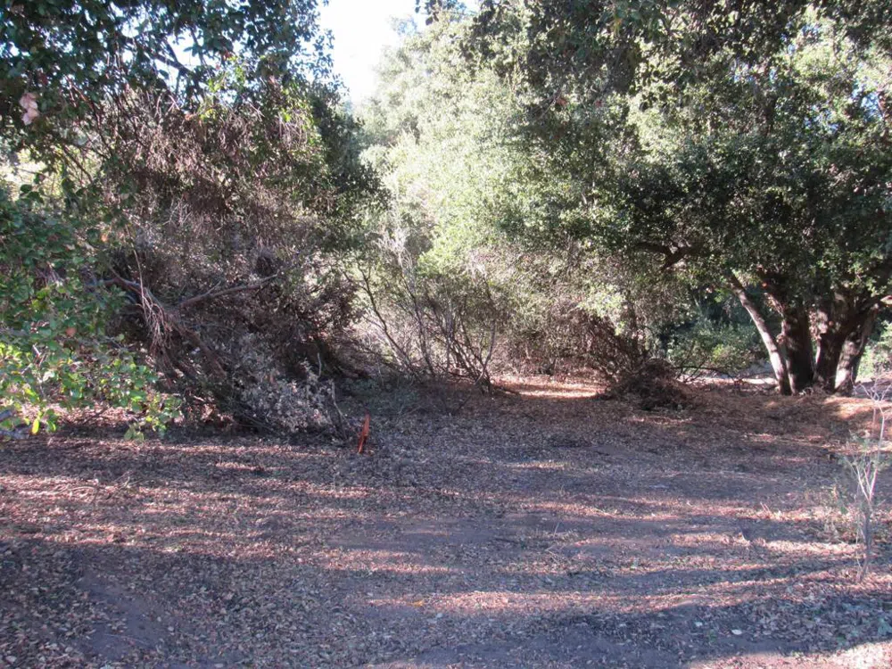 2115 Campo Truck Trail Campo, CA 91906