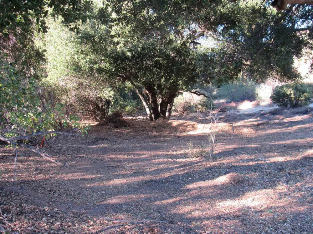 2115 Campo Truck Trail Campo, CA 91906