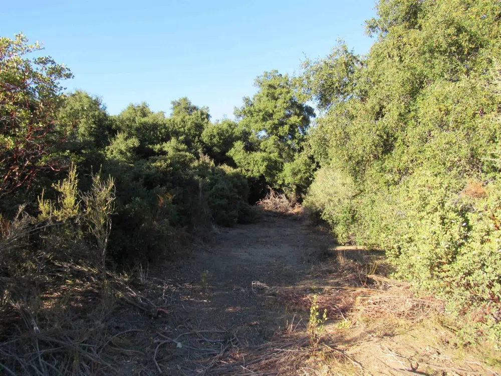 2115 Campo Truck Trail Campo, CA 91906