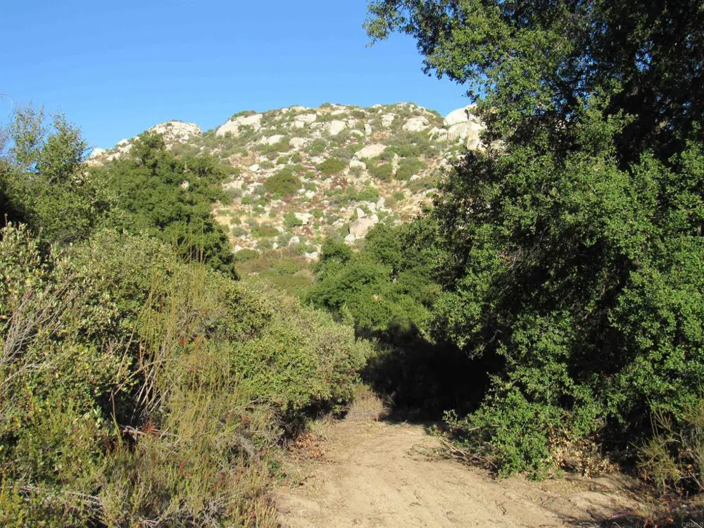 2115 Campo Truck Trail Campo, CA 91906
