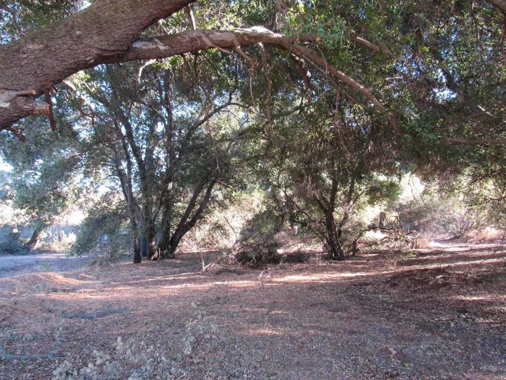 2115 Campo Truck Trail Campo, CA 91906