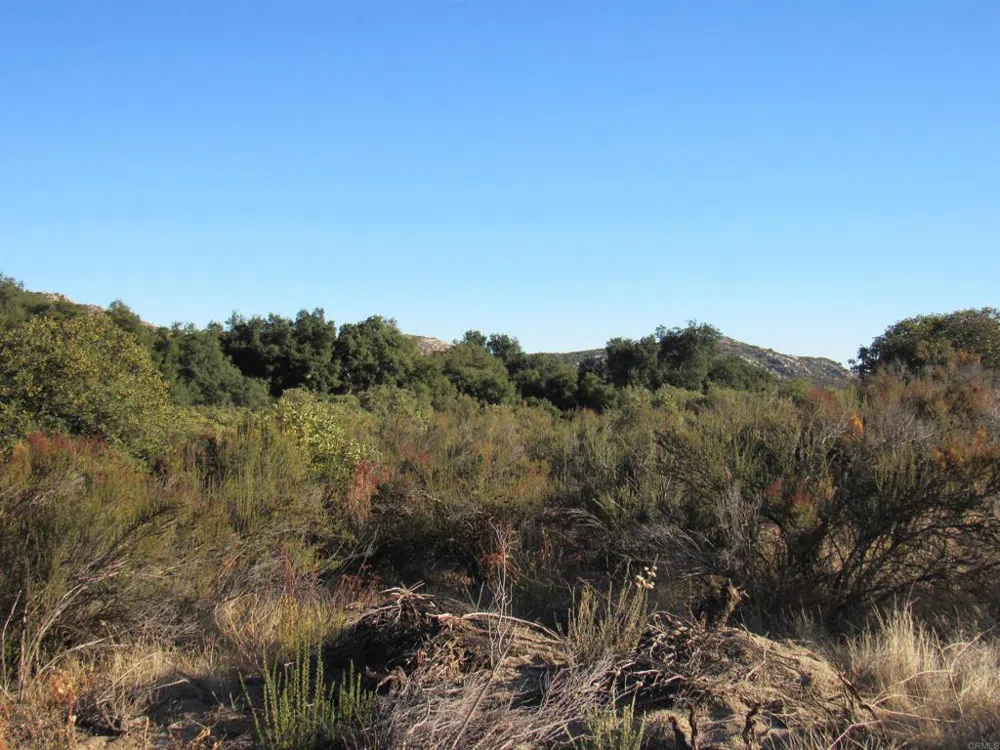2115 Campo Truck Trail Campo, CA 91906