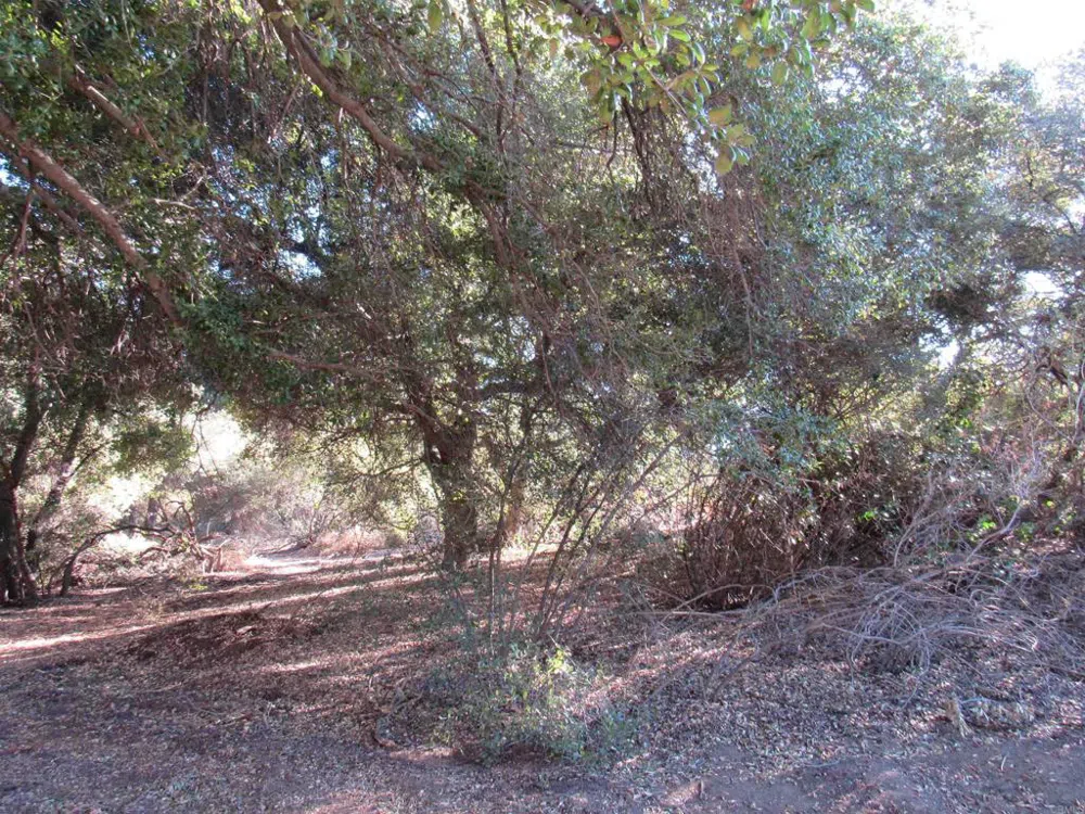 2115 Campo Truck Trail Campo, CA 91906