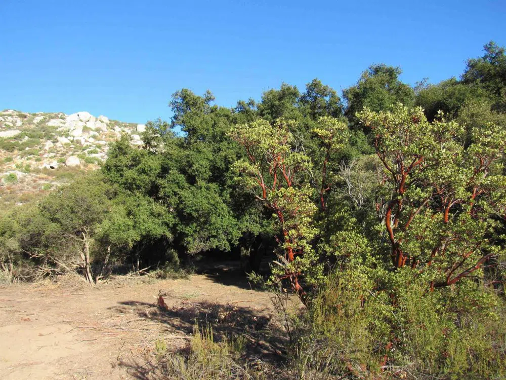 2115 Campo Truck Trail Campo, CA 91906