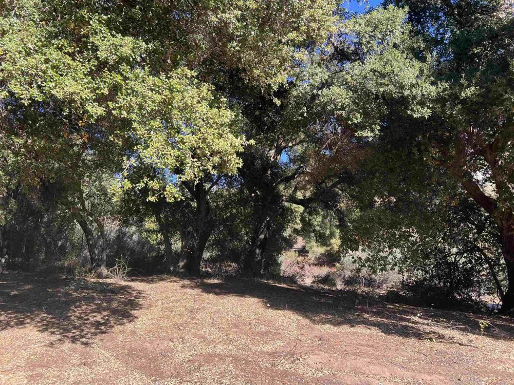 2115 Campo Truck Trail Campo, CA 91906