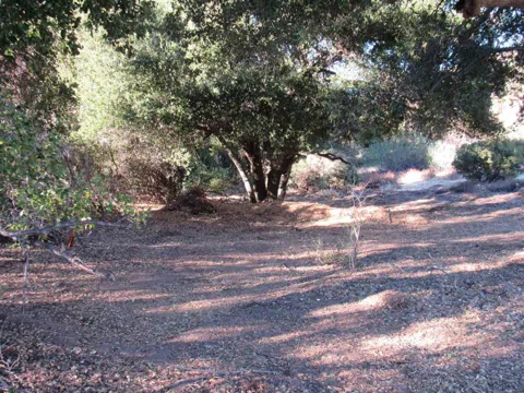 2115 Campo Truck Trail