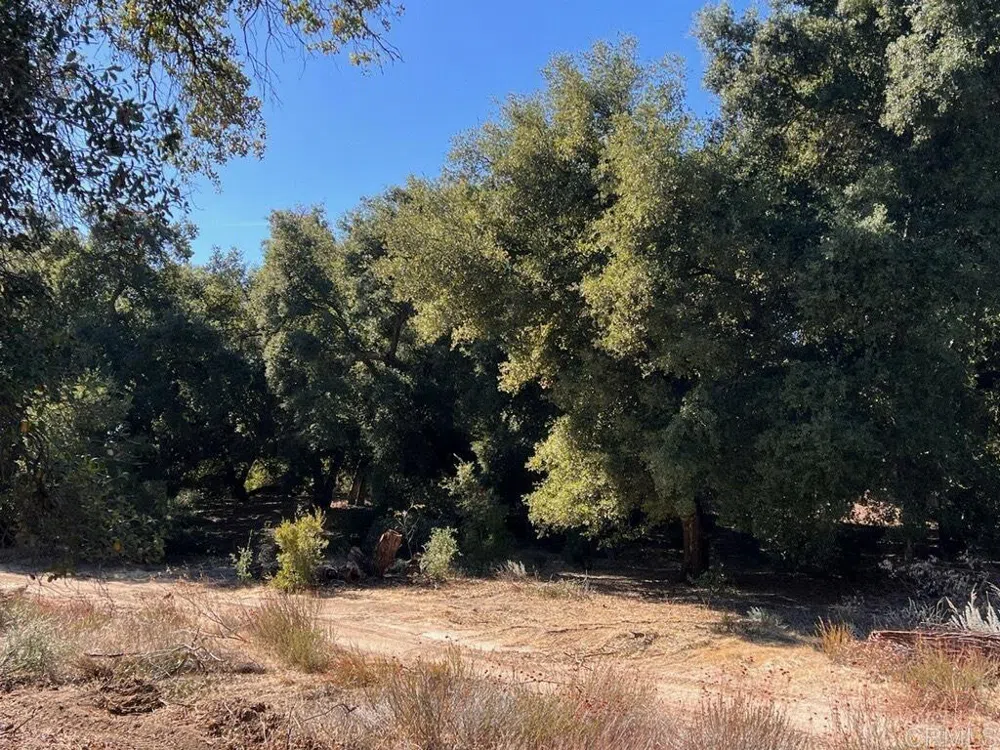 2115 Campo Truck Trail Campo, CA 91906