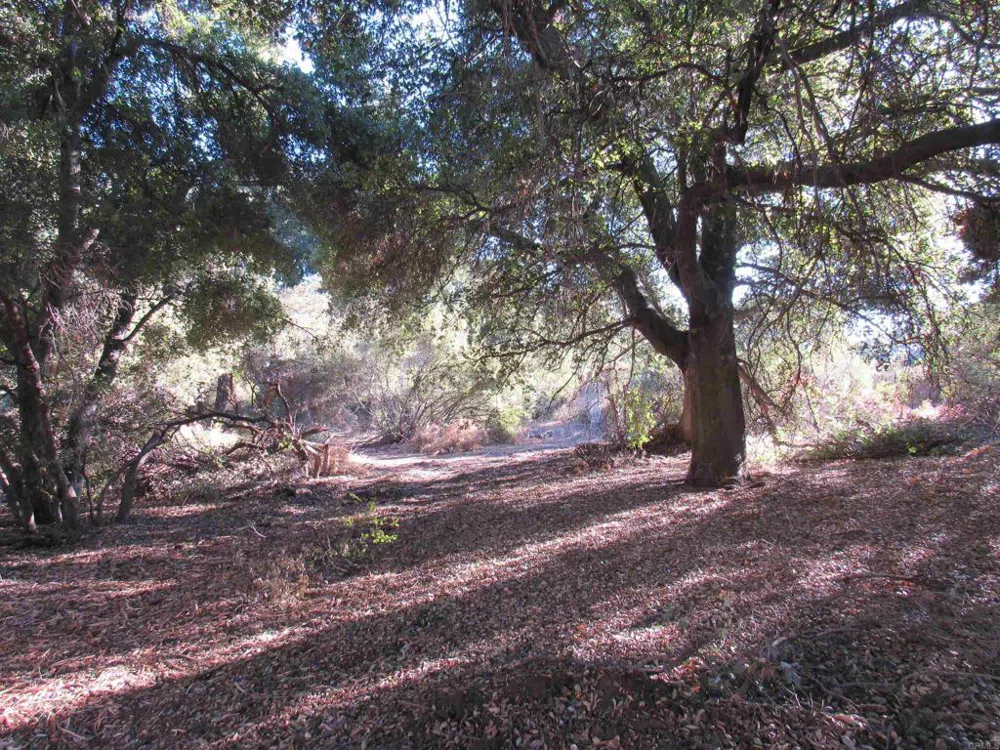 2115 Campo Truck Trail Campo, CA 91906