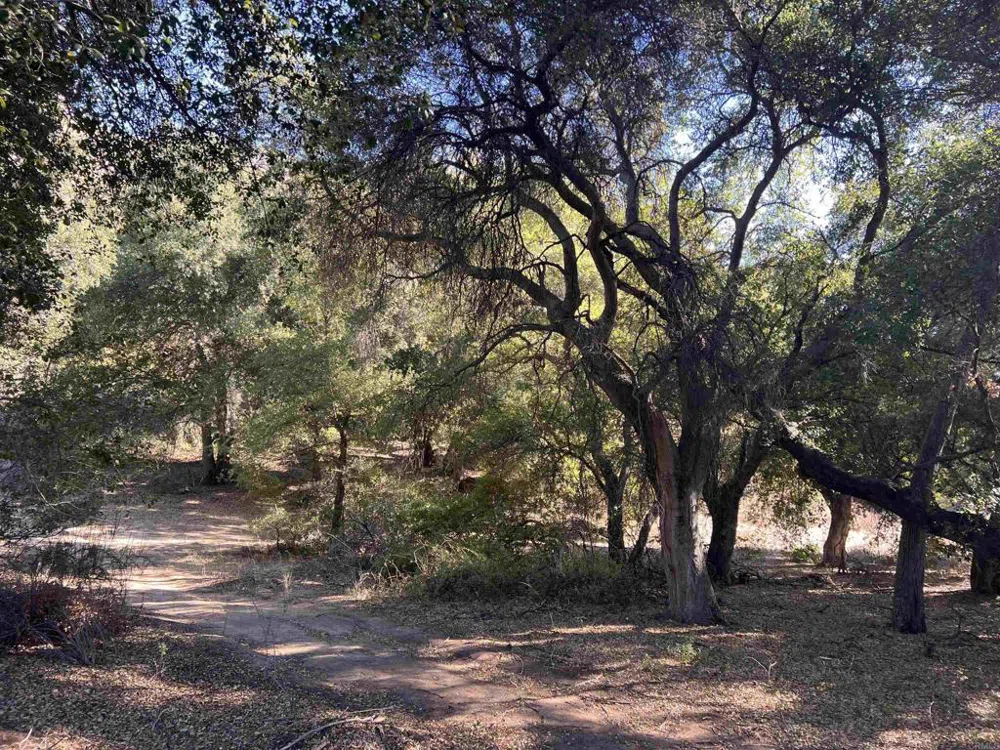 2115 Campo Truck Trail Campo, CA 91906