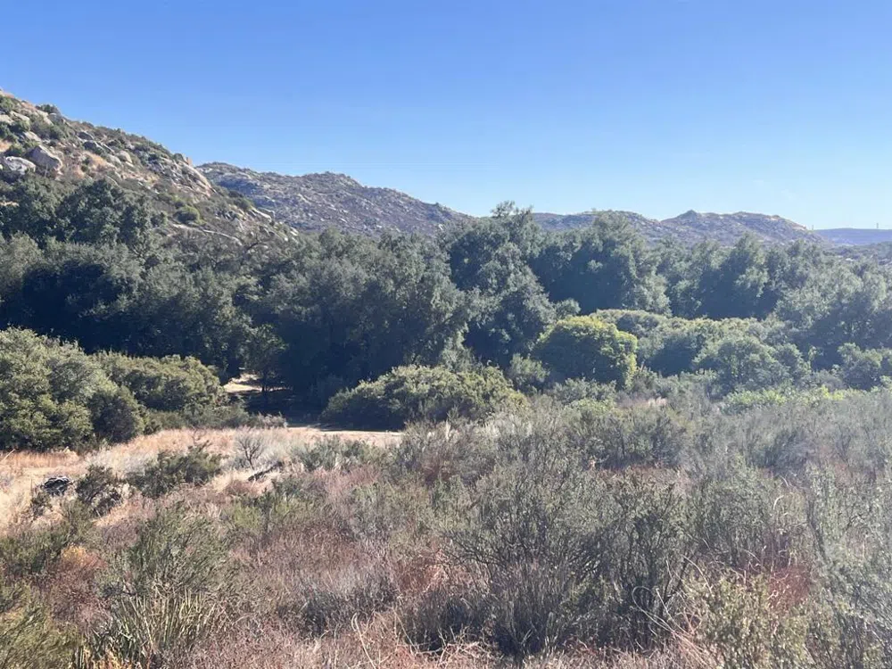 2115 Campo Truck Trail Campo, CA 91906