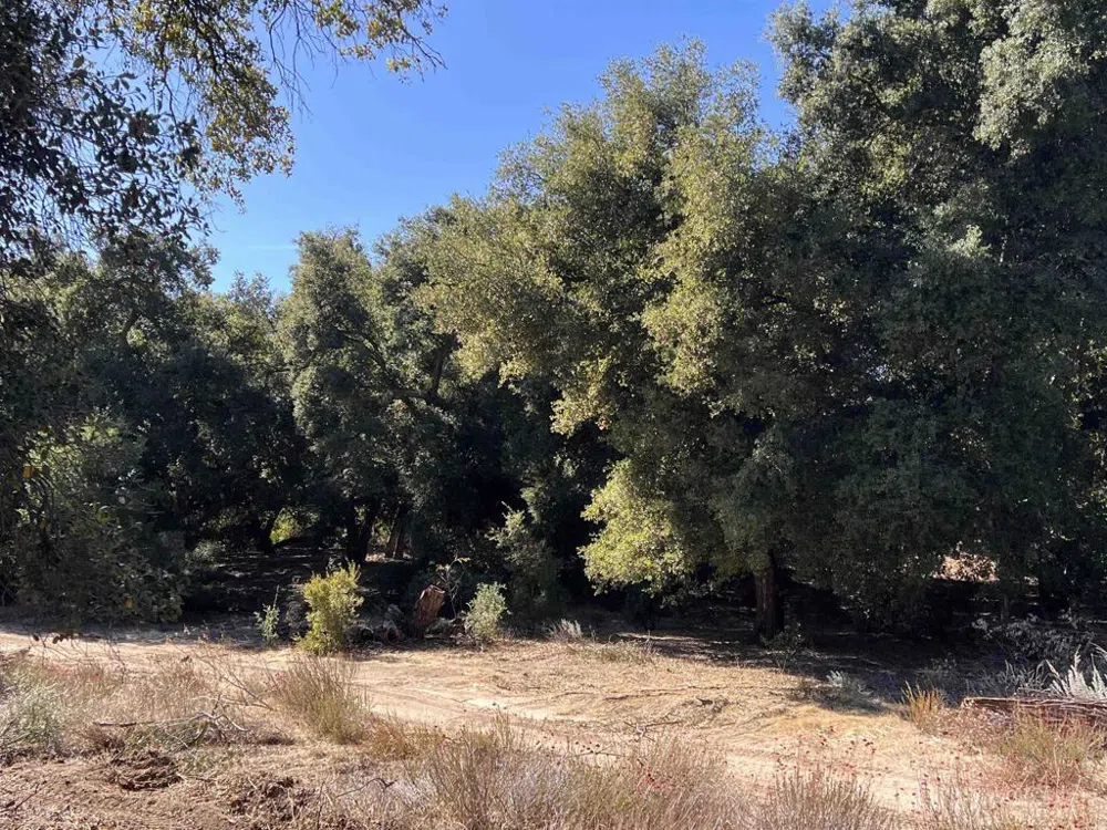 2115 Campo Truck Trail Campo, CA 91906