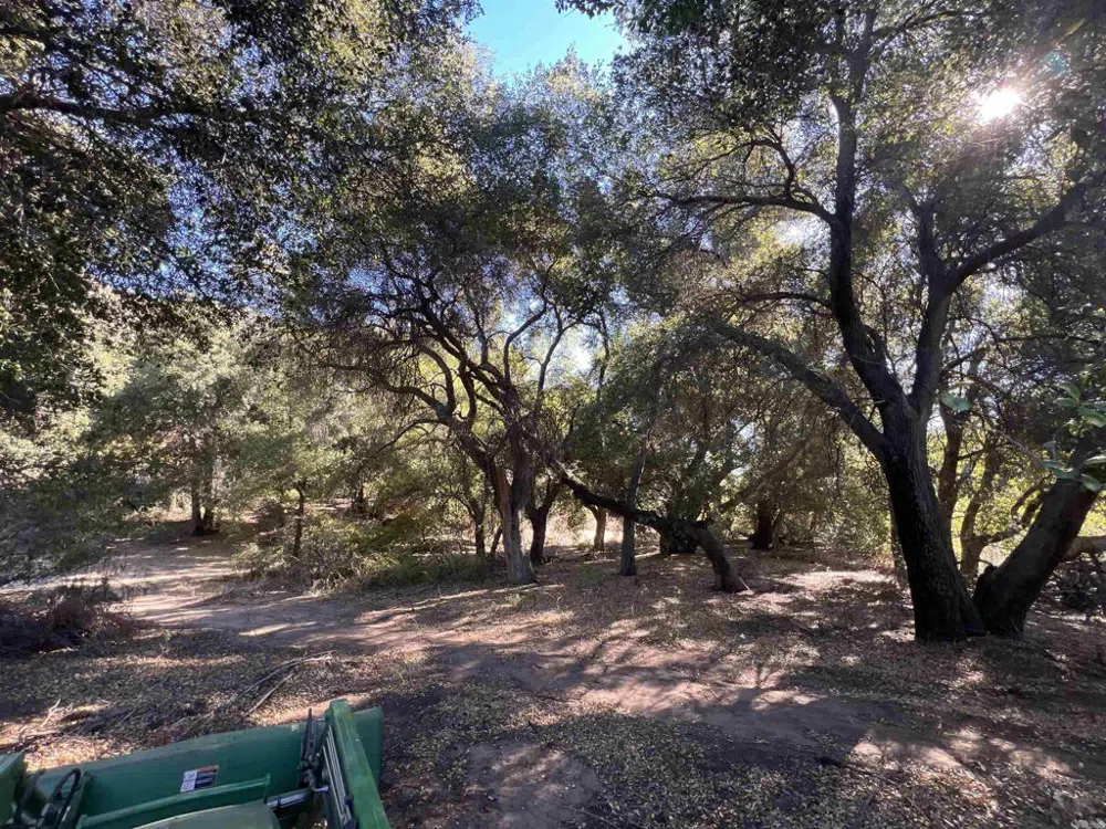 2115 Campo Truck Trail Campo, CA 91906