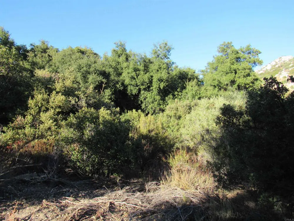 2115 Campo Truck Trail Campo, CA 91906