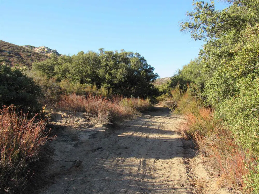 2115 Campo Truck Trail Campo, CA 91906