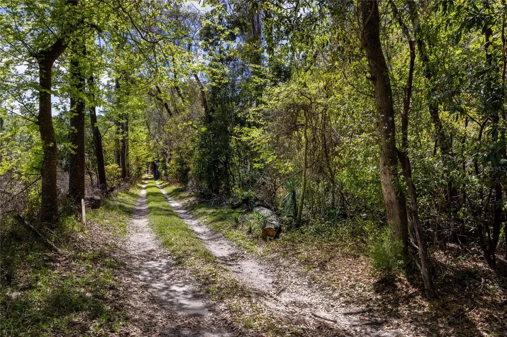 NW 253RD STREET High Springs, FL 32643