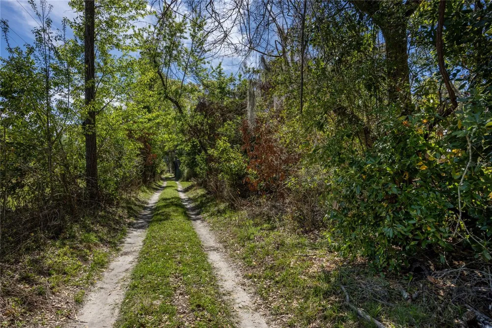 NW 253RD STREET High Springs, FL 32643