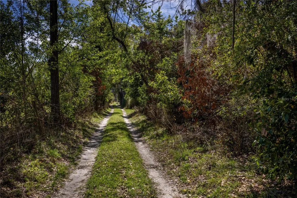 NW 253RD STREET High Springs, FL 32643