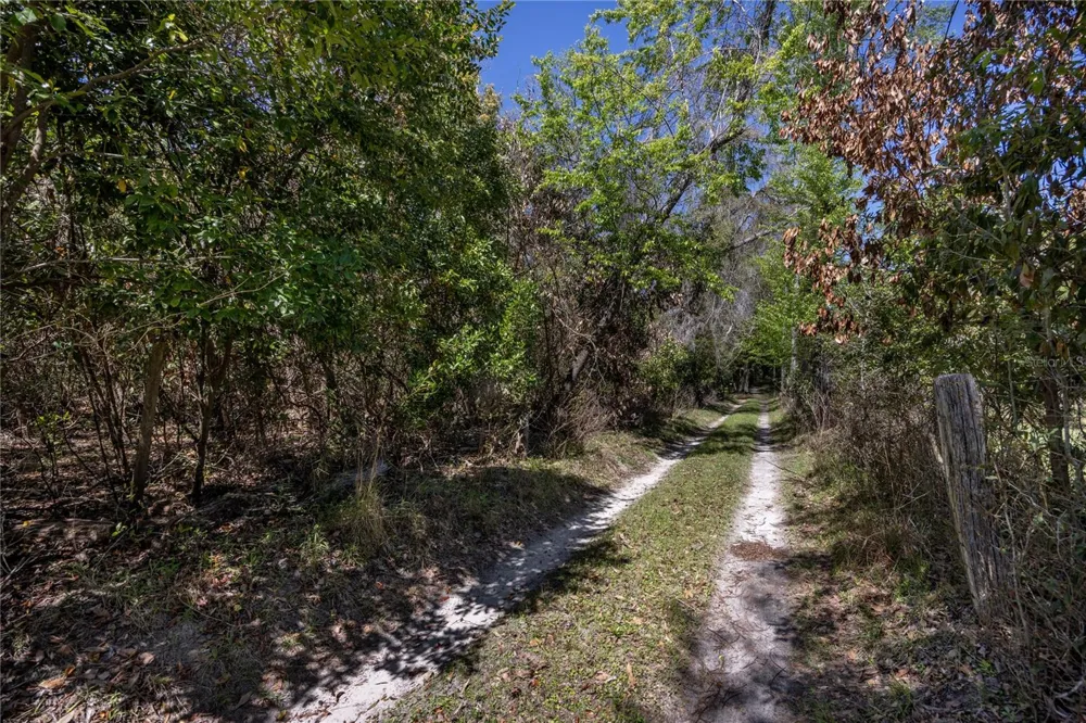 NW 253RD STREET High Springs, FL 32643