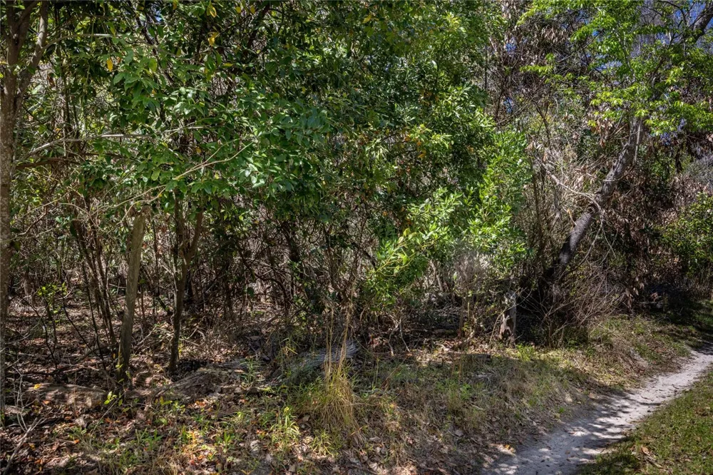 NW 253RD STREET High Springs, FL 32643