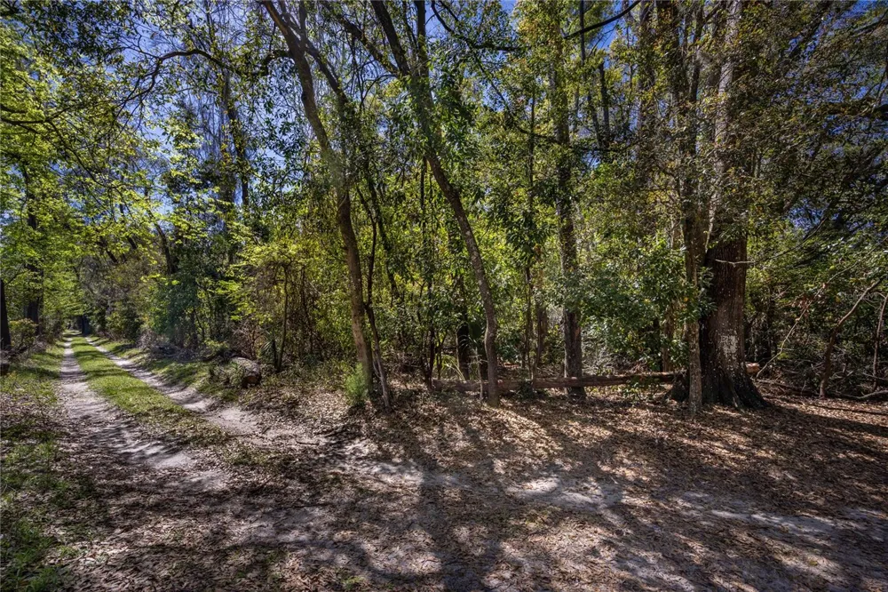 NW 253RD STREET High Springs, FL 32643