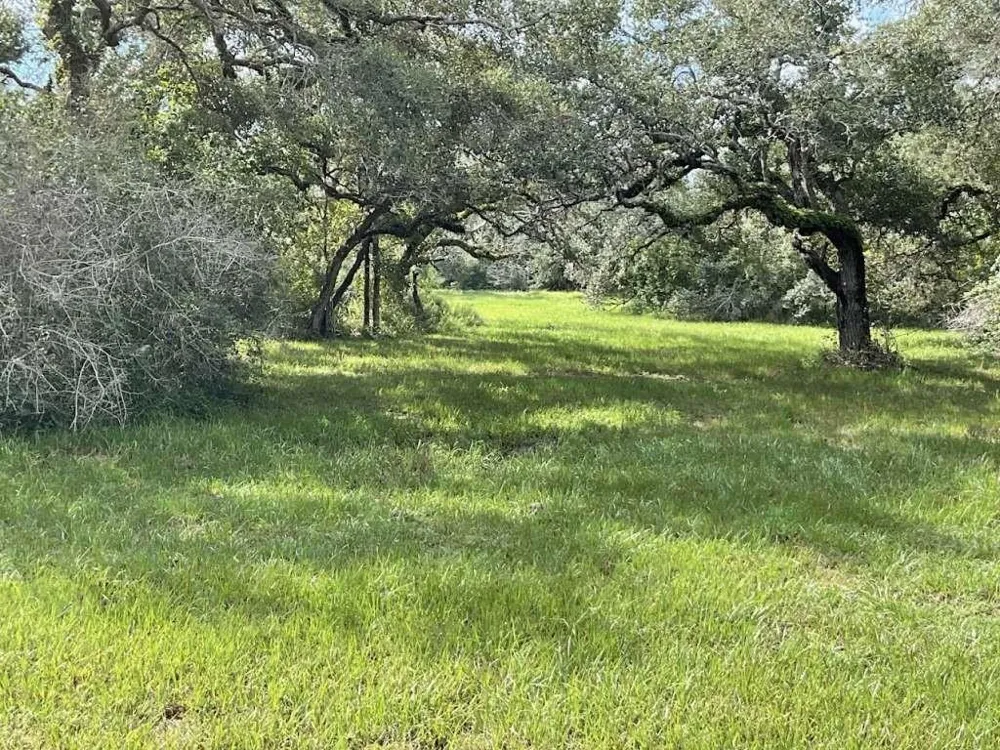 128 Center Tree Drive Palacios, TX 77465