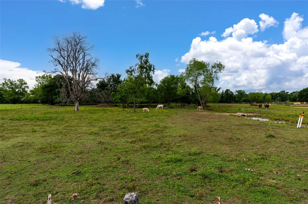 33703 Reynolds Road Fulshear, TX 77441