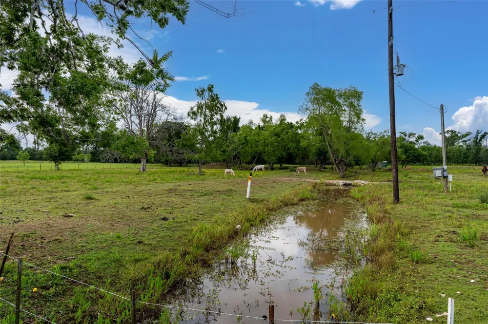 33703 Reynolds Road Fulshear, TX 77441