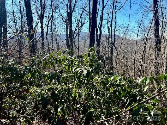 9999-1 Nesbitt Chapel Road Fairview, NC 28730