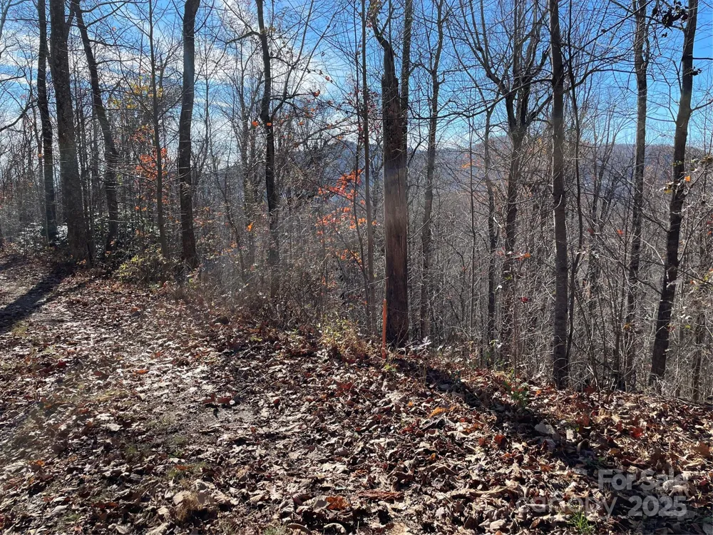 9999-1 Nesbitt Chapel Road Fairview, NC 28730